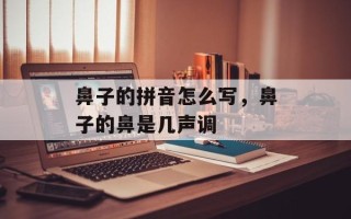 鼻子的拼音怎么写，鼻子的鼻是几声调