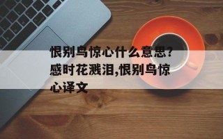 恨别鸟惊心什么意思？感时花溅泪,恨别鸟惊心译文