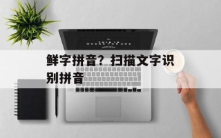 鲜字拼音？扫描文字识别拼音
