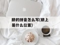 脐的拼音怎么写(脐上是什么位置)