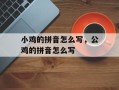 小鸡的拼音怎么写，公鸡的拼音怎么写