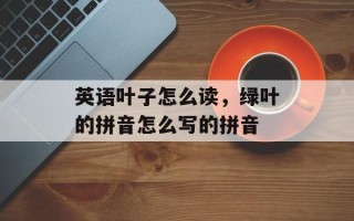 英语叶子怎么读，绿叶的拼音怎么写的拼音