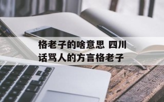 格老子的啥意思 四川话骂人的方言格老子