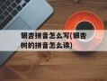 银杏拼音怎么写(银杏树的拼音怎么读)