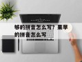 够的拼音怎么写？果苹的拼音怎么写