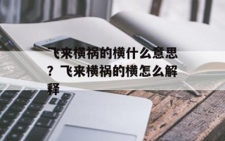 飞来横祸的横什么意思？飞来横祸的横怎么解释