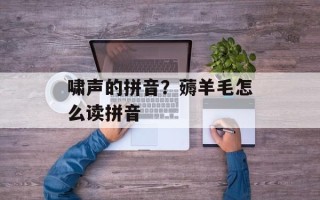 啸声的拼音？薅羊毛怎么读拼音