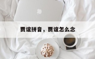 贾谊拼音，贾谊怎么念