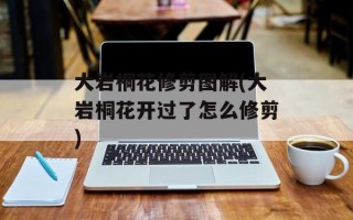大岩桐花修剪图解(大岩桐花开过了怎么修剪)