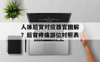 人体后背对应器官图解？后背疼痛部位对照表