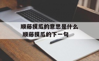 顺藤摸瓜的意思是什么 顺藤摸瓜的下一句