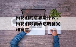 梅花泪的意思是什么，梅花泪歌曲表达的含义和寓意