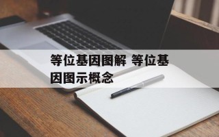 等位基因图解 等位基因图示概念