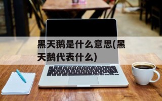 黑天鹅是什么意思(黑天鹅代表什么)
