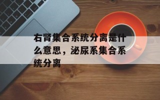 右肾集合系统分离是什么意思，泌尿系集合系统分离
