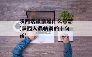 陕西话骚情是什么意思(陕西人最精辟的十句话)