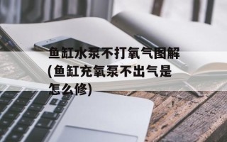 鱼缸水泵不打氧气图解(鱼缸充氧泵不出气是怎么修)