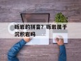 砾岩的拼音？砾岩属于沉积岩吗