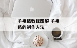 羊毛毡教程图解 羊毛毡的制作方法