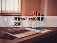 拼音so？co的拼音汉字
