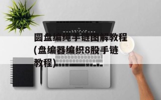 圆盘编绳手链图解教程(盘编器编织8股手链教程)