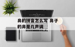 鼻的拼音怎么写 鼻子的鼻是几声调