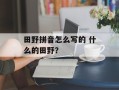 田野拼音怎么写的 什么的田野？