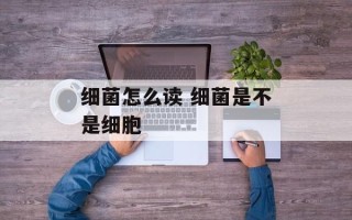 细菌怎么读 细菌是不是细胞