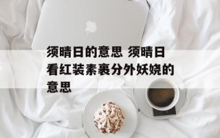 须晴日的意思 须晴日看红装素裹分外妖娆的意思