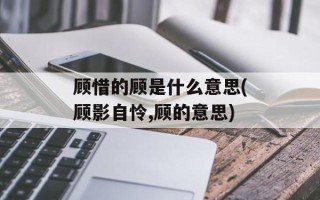 顾惜的顾是什么意思(顾影自怜,顾的意思)