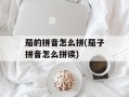 茄的拼音怎么拼(茄子拼音怎么拼读)