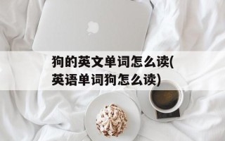 狗的英文单词怎么读(英语单词狗怎么读)