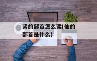 紧的部首怎么读(仙的部首是什么)