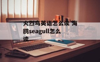 火烈鸟英语怎么读 海鸥seagull怎么读
