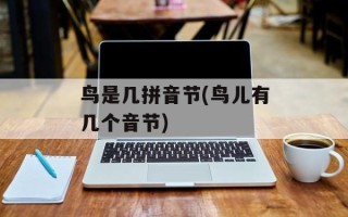 鸟是几拼音节(鸟儿有几个音节)