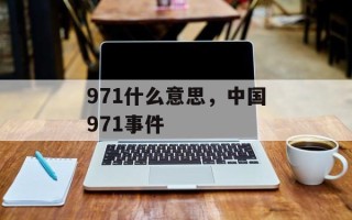 971什么意思，中国971事件