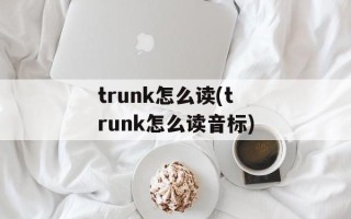 trunk怎么读(trunk怎么读音标)