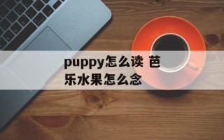 puppy怎么读 芭乐水果怎么念
