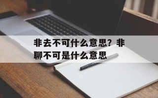 非去不可什么意思？非聊不可是什么意思