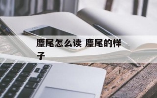 麈尾怎么读 麈尾的样子