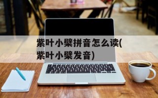 紫叶小檗拼音怎么读(紫叶小檗发音)
