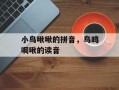 小鸟啾啾的拼音，鸟鸣啁啾的读音