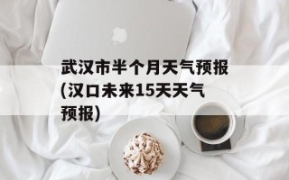 武汉市半个月天气预报(汉口未来15天天气预报)