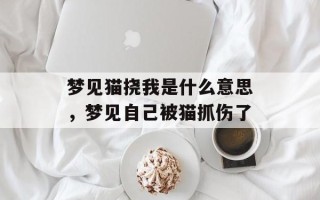 梦见猫挠我是什么意思，梦见自己被猫抓伤了
