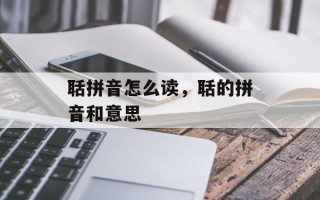 聒拼音怎么读，聒的拼音和意思