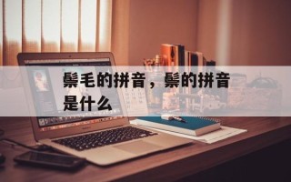 鬃毛的拼音，鬃的拼音是什么