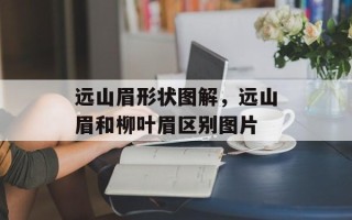 远山眉形状图解，远山眉和柳叶眉区别图片