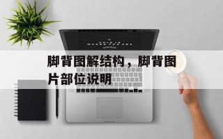 脚背图解结构，脚背图片部位说明