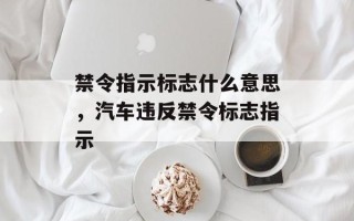 禁令指示标志什么意思，汽车违反禁令标志指示