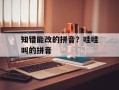 知错能改的拼音？哇哇叫的拼音